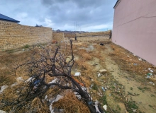 Masazır qəsəbəsi, Şəmşir Abbasov küçəsi