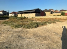 Zabrat 1