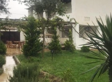 Satılır Turkan qes