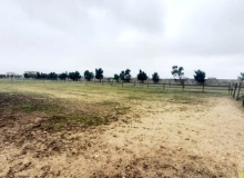 Məhəmmədli qəsəbəsi