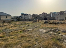 Badamdar qesəsbəsi