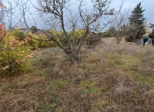 Məhəmməd Fizuli küçəsi