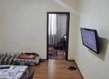 Nargilə dairəsi