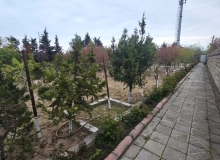 Görədil qəsəbəsi