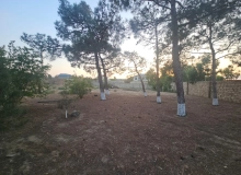 Şüvəlan qəsəbəsi