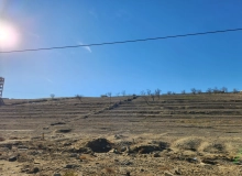 Saray qəsəbəsi