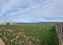 Novxanı