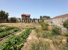 Buzovna qəsəbəsi
