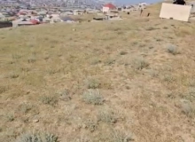 Buzovna qəs