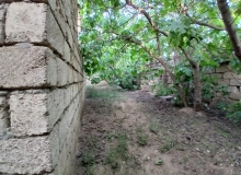 Xanlar küçəsi