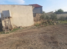 Satılır Məmməd Araz küçəsi