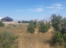 Qala qəsəbəsi