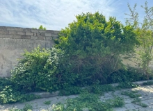 Mərdəkan qəsəbəsi