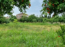 Buzovna