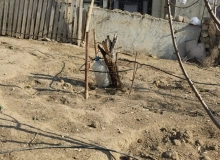 H.Z.Tağıyev küçəsi