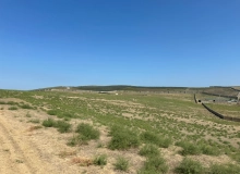 Satılır Mehdiabad qəsəbəsi