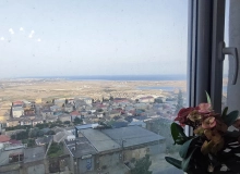 Yeni Günəşli qəsəbəsi, D massivi