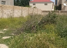 Nəsibə Zeynalova küçəsi