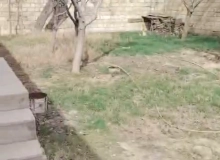Satılır Masazır qəsəbəsi