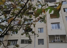 Yeni Günəşli Q massivi