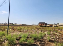 Masazır qəsəbəsi, X.R.Ulutürk küçəsi