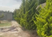 Görədil