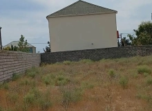 Buzovna