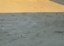 Saray qəsəbəsi