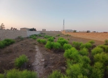Şüvəlan qəsəbəsi, Mayak-da