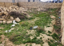 Ziya Bünyadov küçəsi