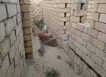 Ağaxan Abdullayev küçəsi