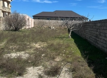 Buzovna