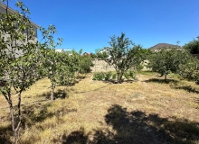 Buzovna