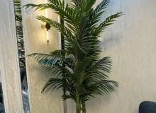 Əliyar Əliyev küçəsi