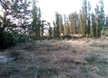 Alekseyevka kəndi