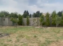 Satılır Görədil