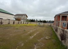 Buzovna