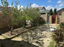 Yeni Suraxanı