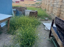 28 may qəsəbəsi