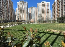 Müstəqillik küçəsi