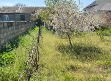Satılır Saray