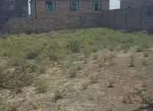Masazır