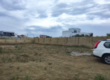Pirşağı qəs, Eston bağları, 42-ci dalan