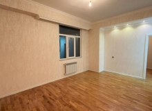 Yeni Günəşli D massivi