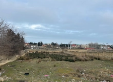 Satılır Novxanı