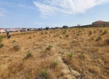 Satılır Şəmşir Abbasov küçəsi