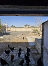 Suraxanı ray.  Bahar qəs.