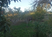 Qala qəsəbəsi