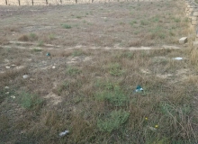 Novxanı qəsəbəsi