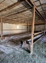 Suraxanı ray.  Bahar qəs.